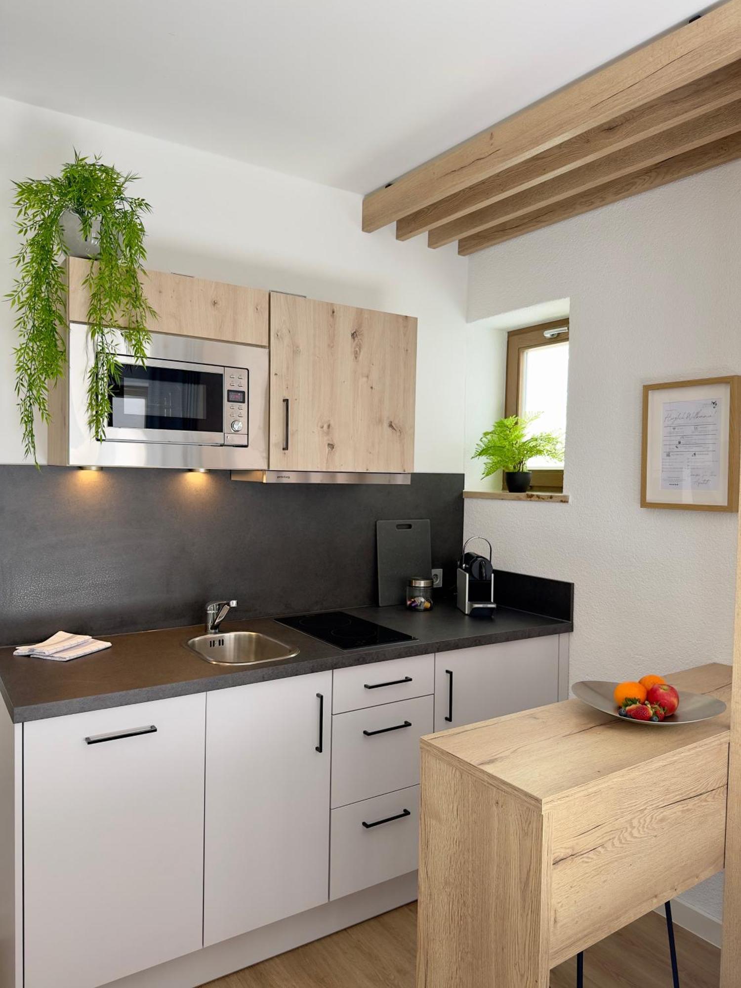 Living & Serviced Apartments By Blauer Wolf Gunzenhausen Kültér fotó