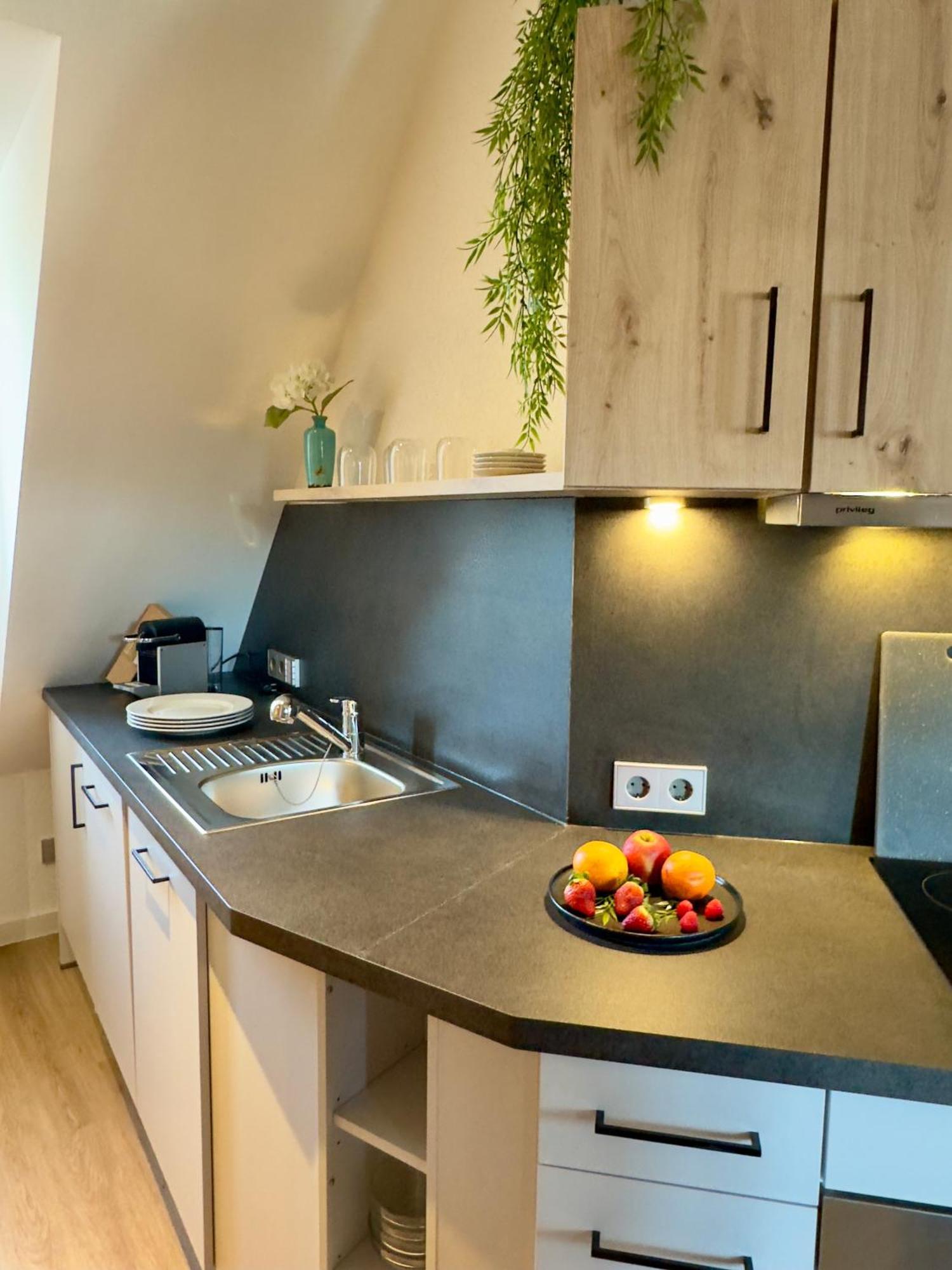 Living & Serviced Apartments By Blauer Wolf Gunzenhausen Kültér fotó