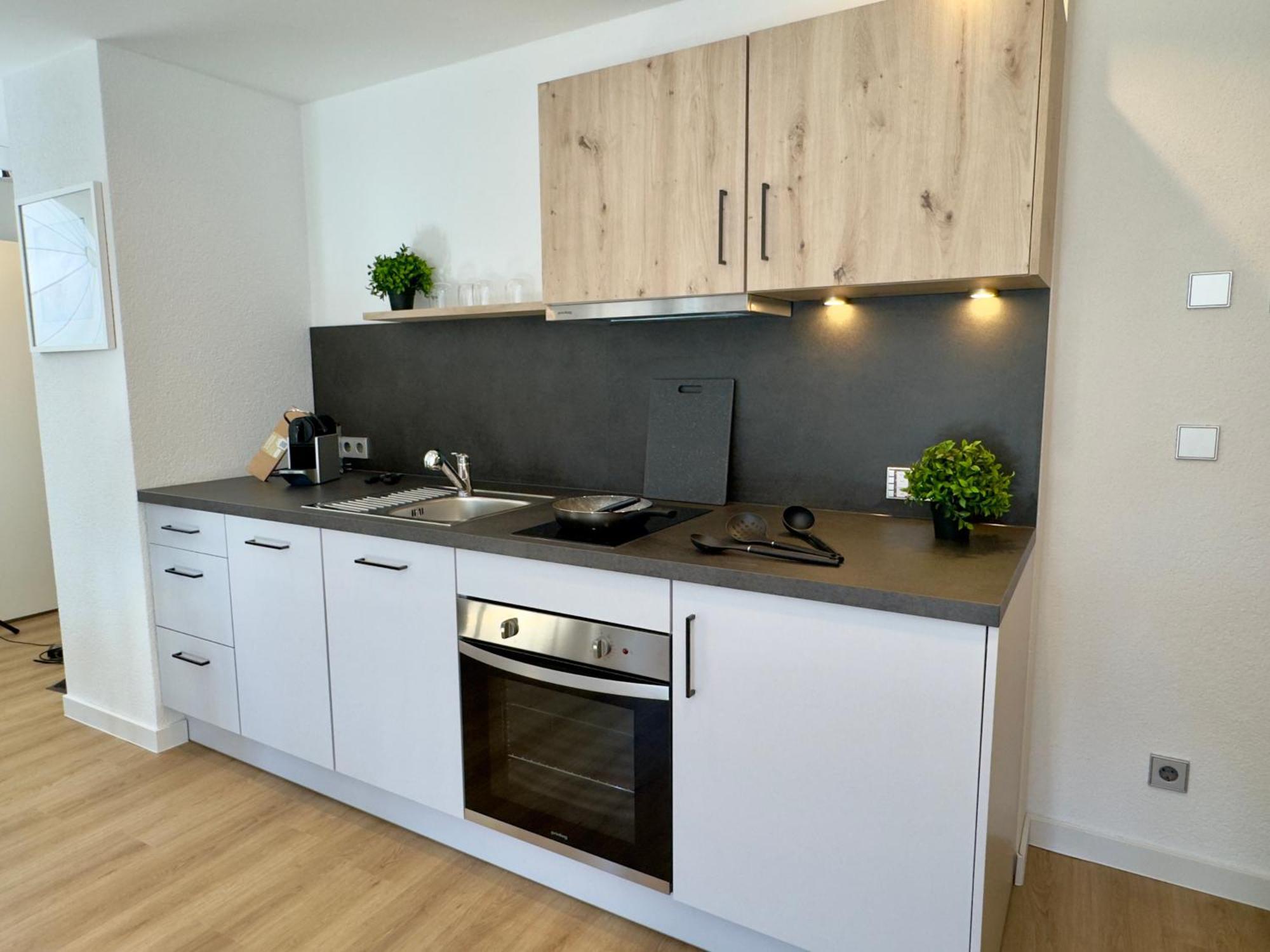 Living & Serviced Apartments By Blauer Wolf Gunzenhausen Kültér fotó